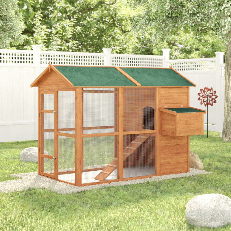 Archie Oscar Auggie Deluxe Large Backyard Chicken Coop With