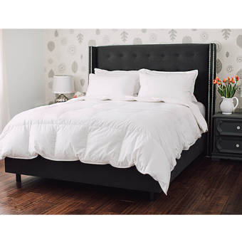 Down Comforters Duvet Inserts You Ll Love In 2020 Wayfair