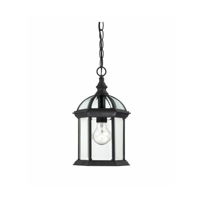 Statler 1 Light Outdoor Hanging Lantern