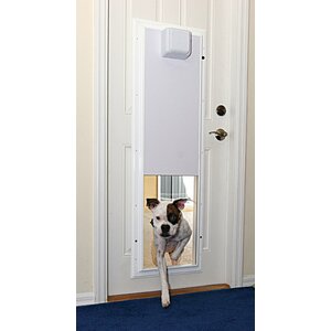 Maurin Electronic Pet Door Wall Mount