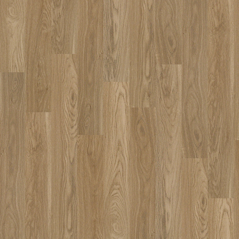 Shaw Floors Alliance 6 X 48 X 3 2mm Luxury Vinyl Plank Reviews
