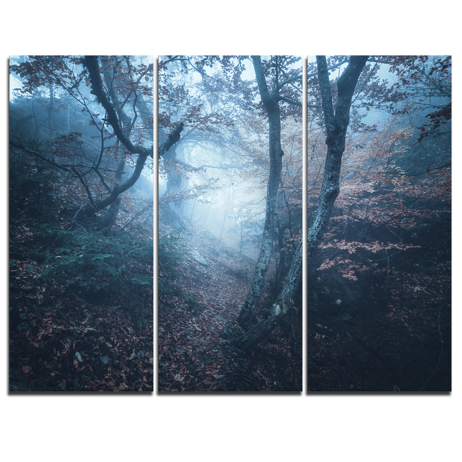 Designart Beautiful Autumn In Forest 3 Piece Graphic Art On Wrapped Canvas Set Wayfair