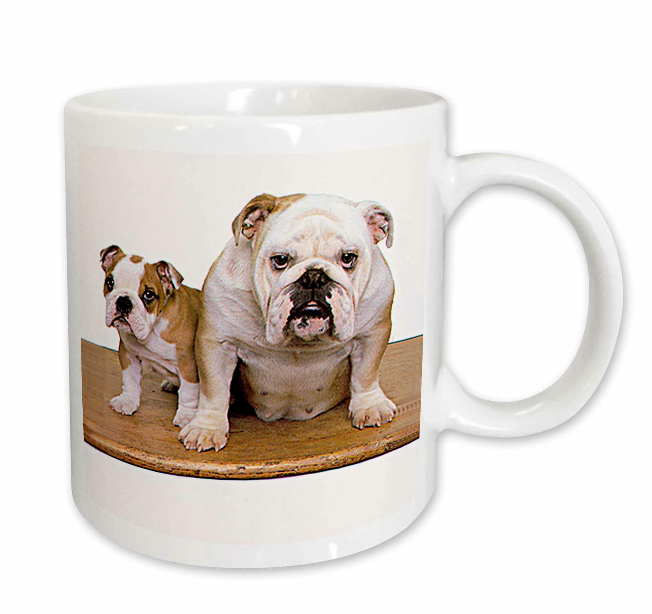 bulldog coffee mug