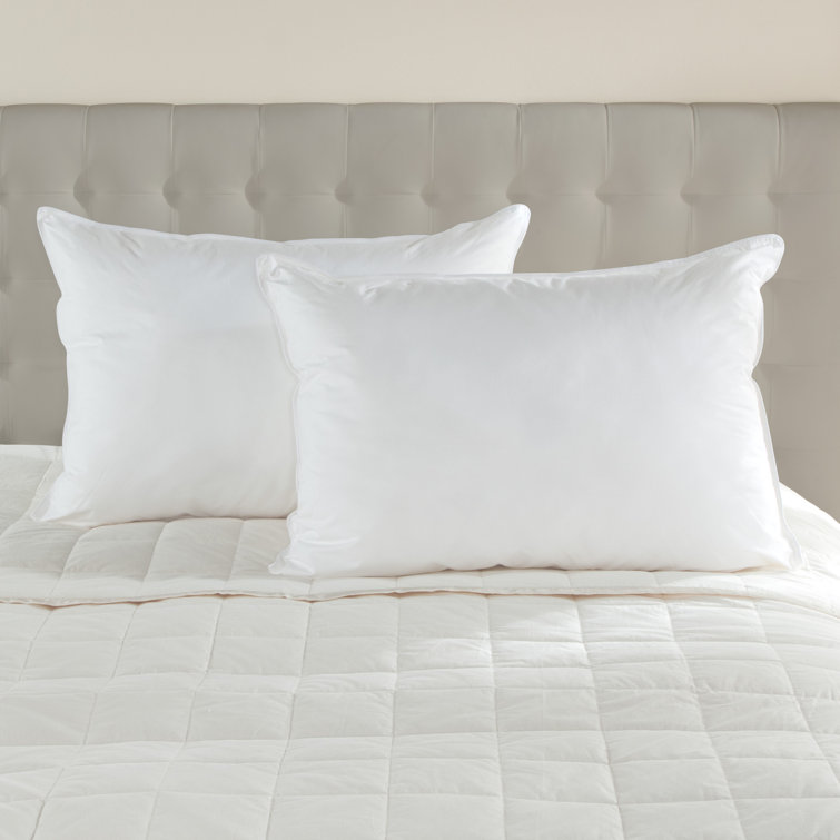 wayfair down pillows
