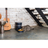 Dog Proof Cat Feeders Wayfair
