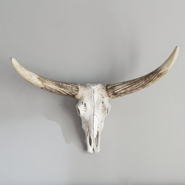 Steer Head Wall Decor Wayfair Steer Head Wall Decor Wayfair