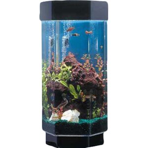 Aqua 15 Gallon Scape Hexagon Aquarium Kit