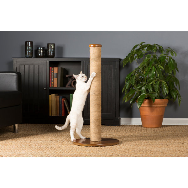 tall scratching post