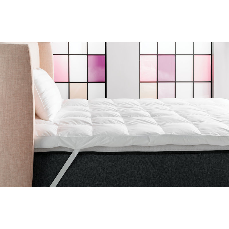 The Twillery Co Trahan 3 Down Alternative And Polyester Mattress