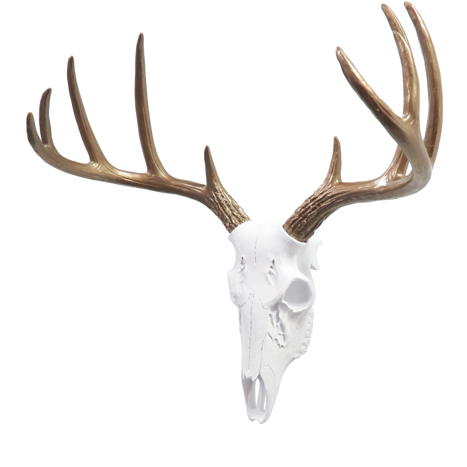 Faux Taxidermy Mini Deer Skull Wall Décor Faux Taxidermy Mini Deer Skull Wall Décor