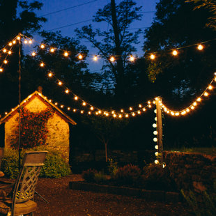 Outdoor String Party Lights | Wayfair Outdoor String Party Lights | Wayfair
