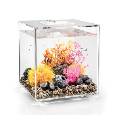 uniquarium pentagon aquarium tank