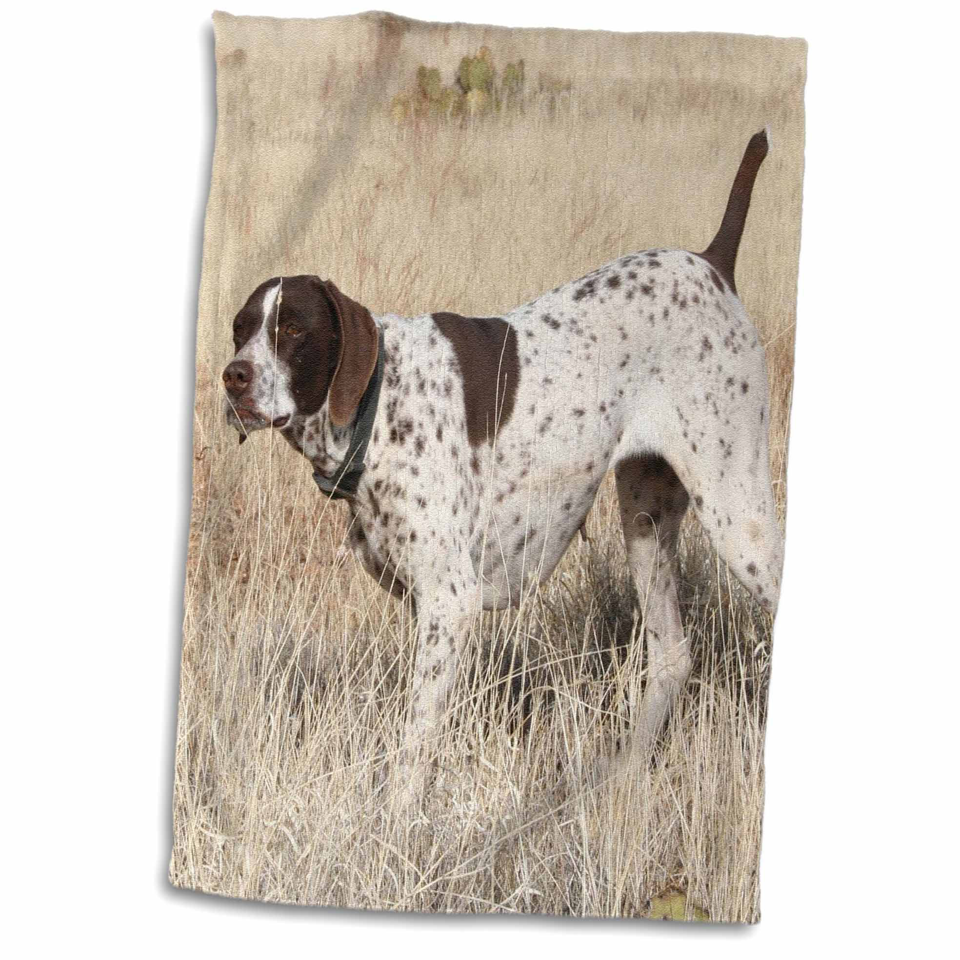 Winston Porter German Shorthair Pointer Hand Towel Wayfair
