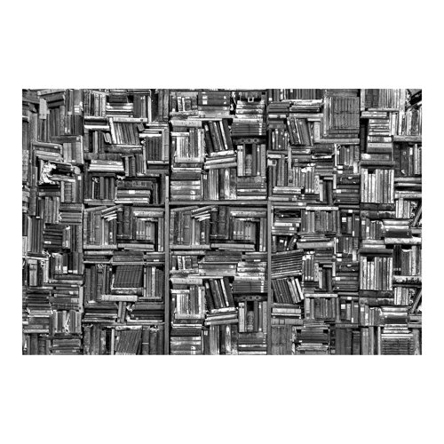 Shabby Book Wall 2.55m x 3.84m Textured Matte Peel & Stick Wall Mural East Urban Home