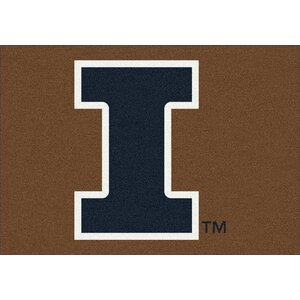 Collegiate University of Illinois Fighting Illini Mat