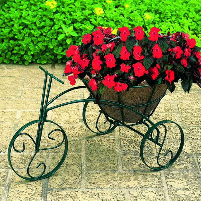 CobraCo Bicycle Plant Stand & Reviews Wayfair