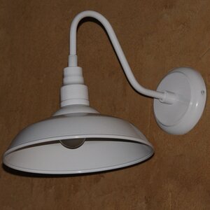 Belleair Bluffs 1-Light Outdoor Barn Light