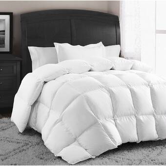 Alwyn Home All Season Down Comforter Reviews Wayfair