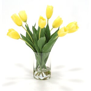 Waterlook Dutch Tulips in Glass Cylinder Vase