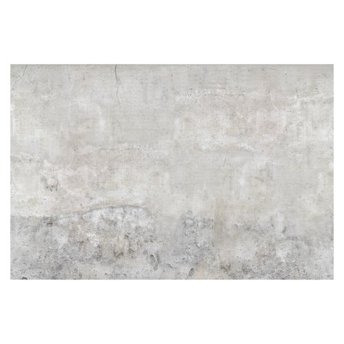 Shabby Concrete Look 2.25m x 3.36m Textured Matte Peel & Stick Wall Mural East Urban Home