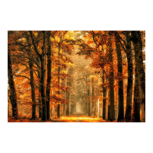 Fairytale Forest in Autumn 2.55m x 3.84m Textured Matte Peel & Stick Wall Mural East Urban Home
