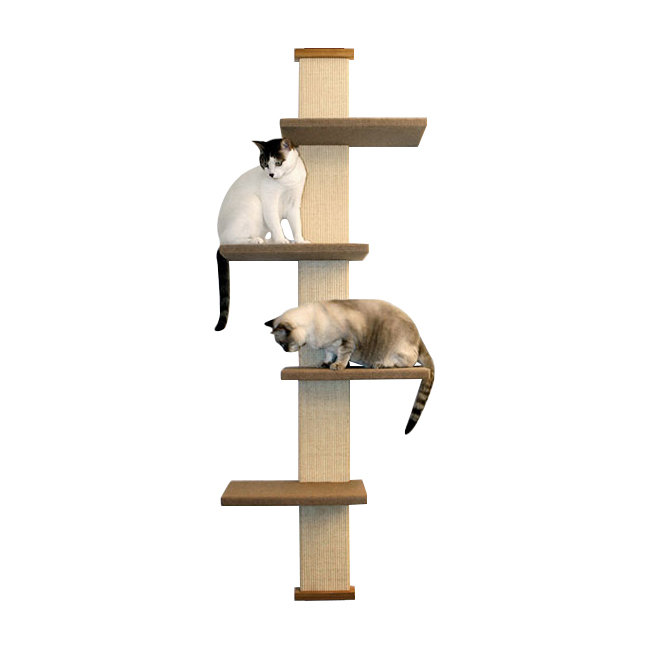 Smartcat 80 Door Climber Cat Tree Reviews Wayfair