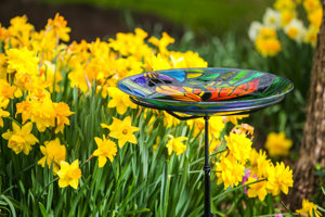 The 8 Best Birdbaths for Your Garden