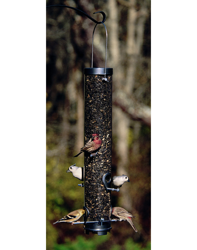 Droll Yankees Classic Sunflower Mixed Seed Tube Bird Feeder Wayfair