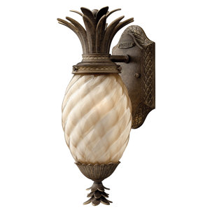 Terry 1-Light Outdoor Glass Shade Wall Lantern
