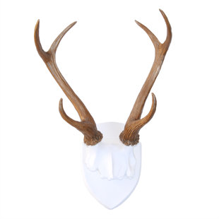 Deer Antlers Wall Decor Wayfair Search Results For Deer Antlers Wall Decor