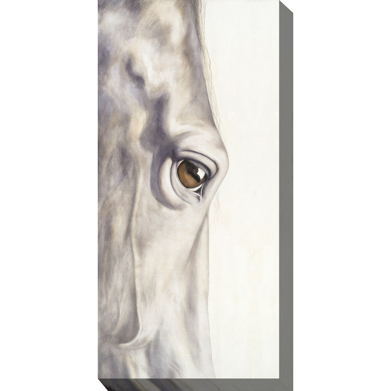Union Rustic Pale Long Eye Oil Painting Print On Wrapped Canvas