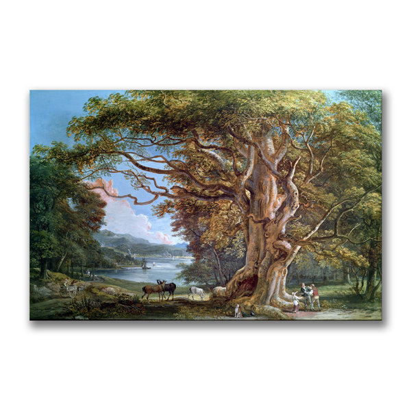 Trademark Art An Ancient Beech Tree 1794 By Paul Sandby