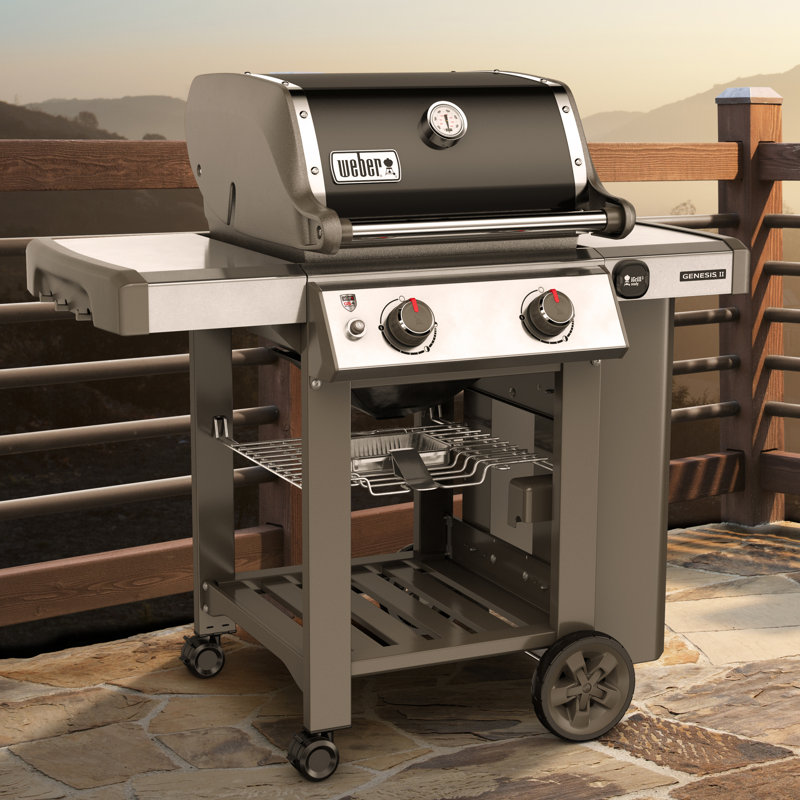 Weber Genesis II E210 2Burner Propane Gas Grill with Side Shelves