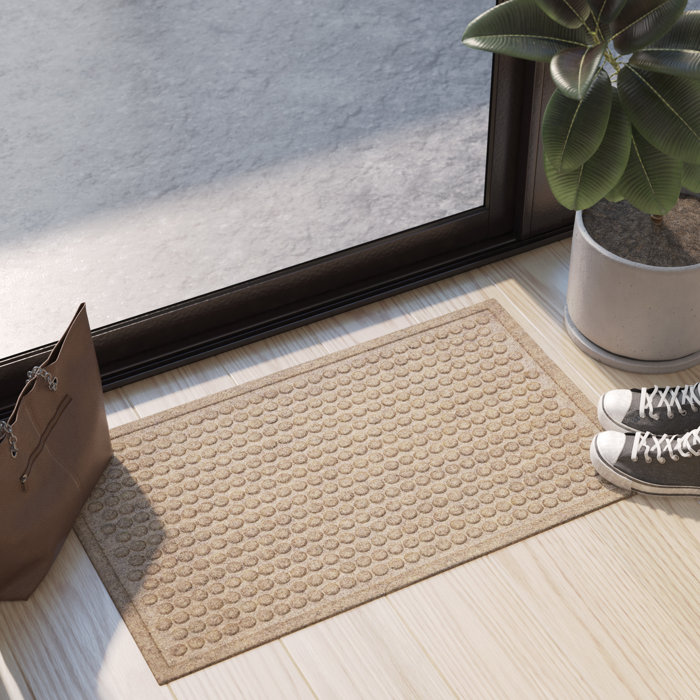 Souvenance Dot Non Slip Indoor Door Mat