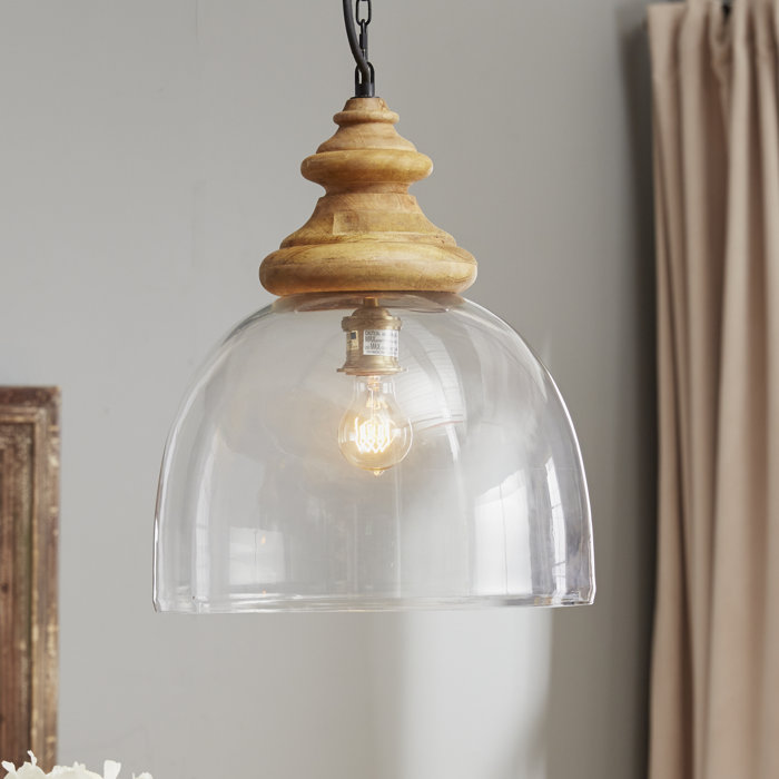 Highland Dunes Clarkton 1 Light Unique Statement Dome Pendant