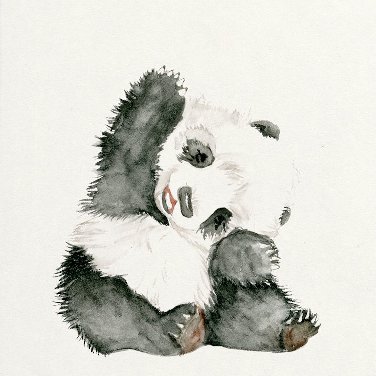 East Urban Home Baby Panda I Watercolor Painting Print On Canvas