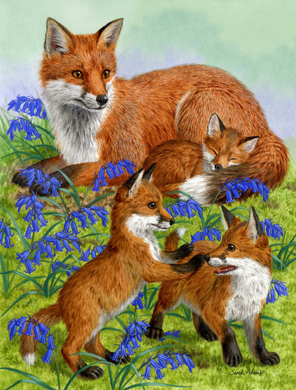 Caroline S Treasures Fox 2 Sided Polyester 40 X 28 In House Flag Wayfair