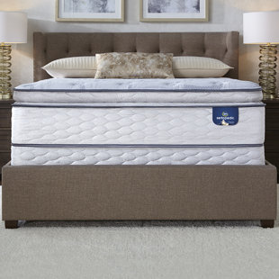 12 Inch Pillow Top Mattress Wayfair Sertapedic 12 5 Plush Pillow Top Mattress