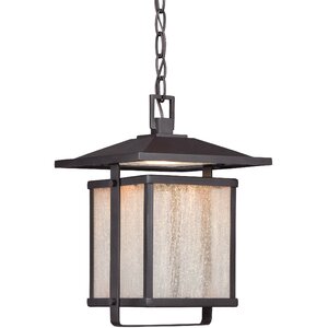 Olivarez 1-Light Outdoor Hanging Lantern