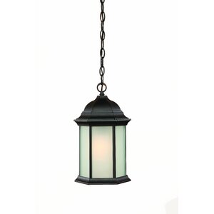 Madison 1-Light Outdoor Hanging Lantern