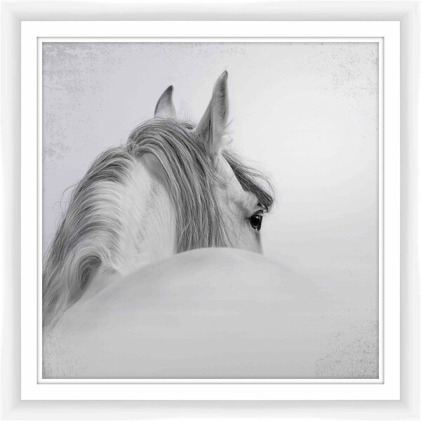 PTM White Horse Framed Photographic Print | Wayfair
