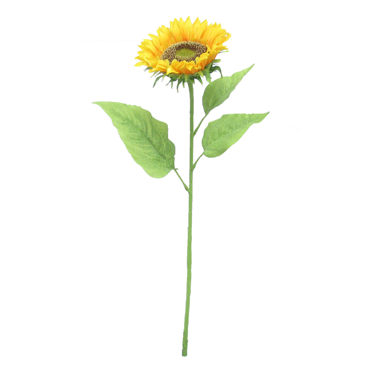 August Grove Deluxe Sunflower Stem Reviews Wayfair