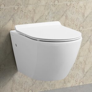 Wall Mount Toilets You'll Love