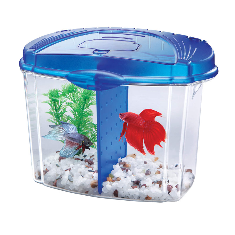 freshwater aquarium starter kit