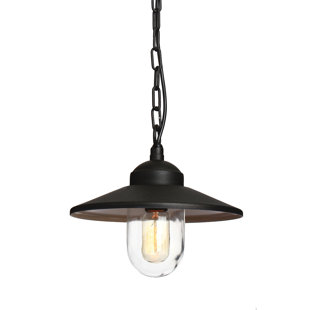 Outdoor hanging ceiling lights Clearance