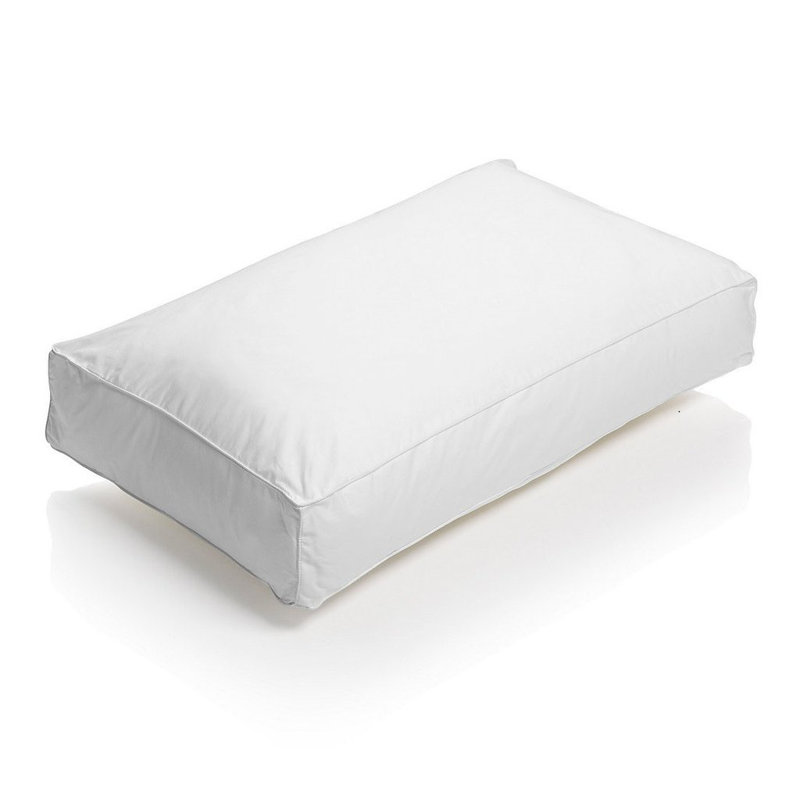 Symple Stuff Square Pillow Reviews Wayfair Co Uk