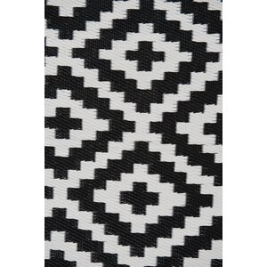 Nirvana Black/White Indoor/Outdoor Area Rug