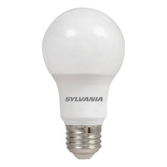 Farmhouse Rustic Light Bulbs Birch Lane