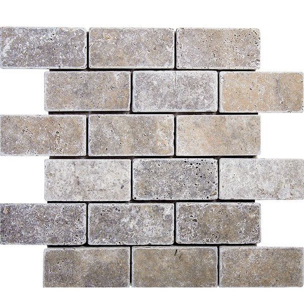 Tumbled Brick 2 x 4 Stone Mosaic Tile in Silver by Parvatile