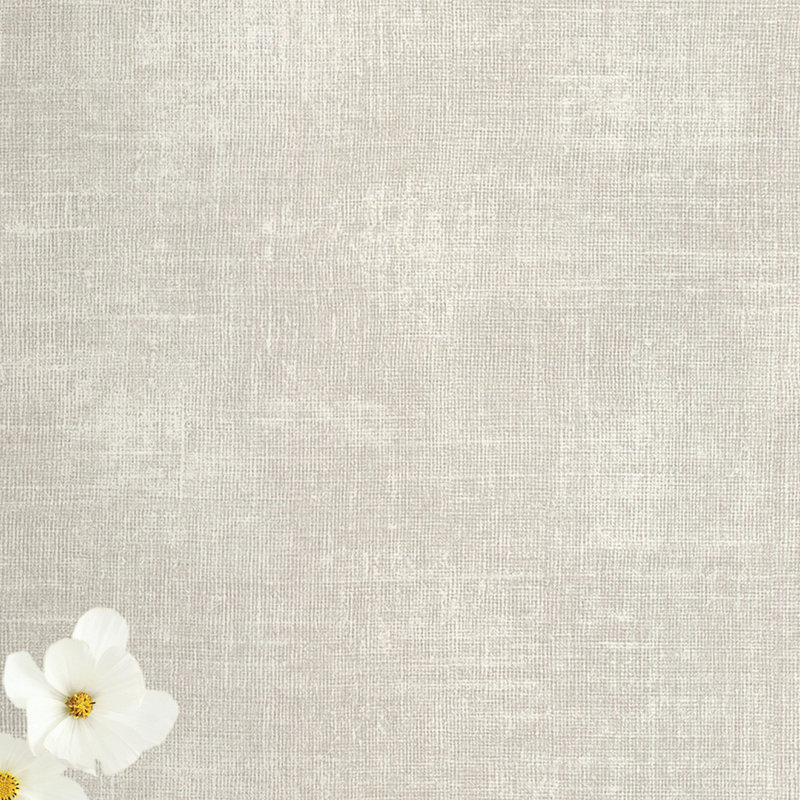 Ebern Designs Crespo 33 L X 20 5 W Solid Wallpaper Roll Wayfair